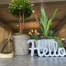 Saturday vibes @ Summer House Alameda Instagram post from @SummerHouseAlameda on February 19, 2025 00:00:00am